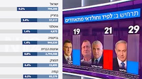 הגרפים הבעיתיים, צילום: צילום מסך טוויטר